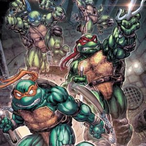 Teenage Mutant Ninja Turtles #13 Cover A (Williams II)
