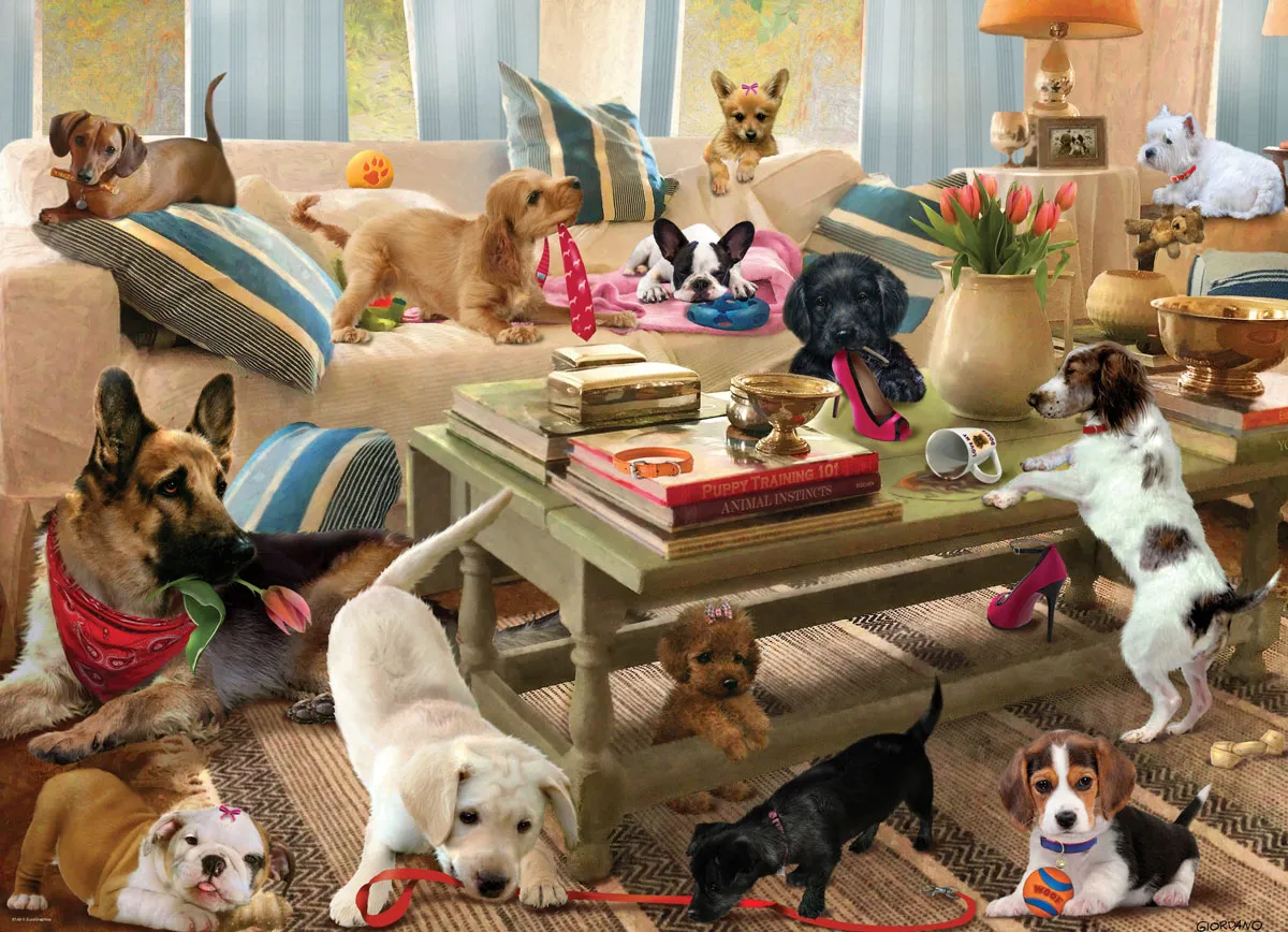 Living Room Pups - Image 2