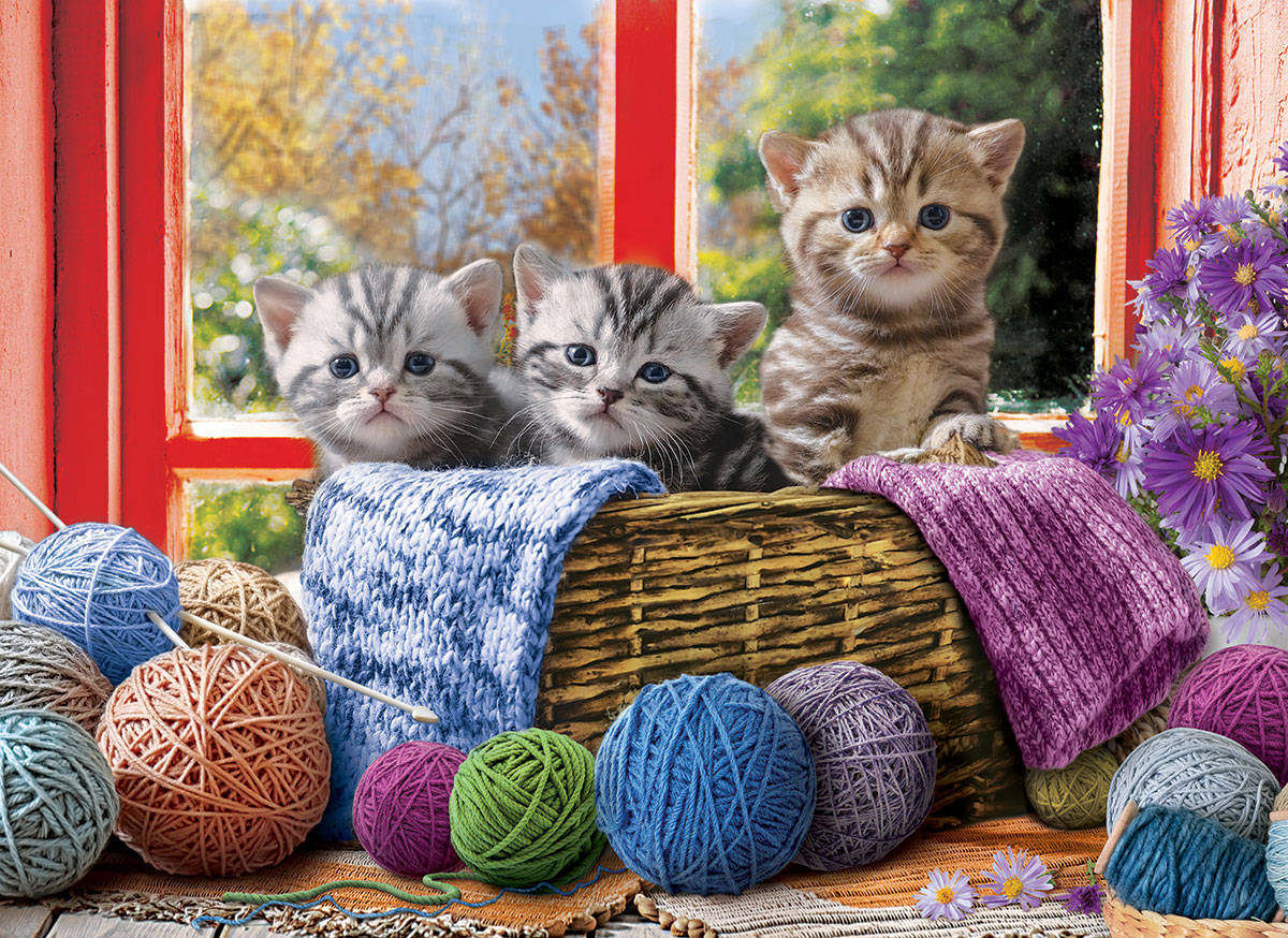Knittin' Kittens - Image 3