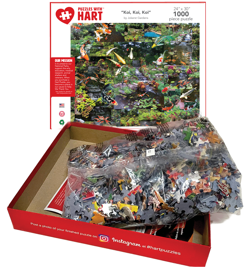 Koi, Koi, Koi by Jokerst Gardens - Image 4