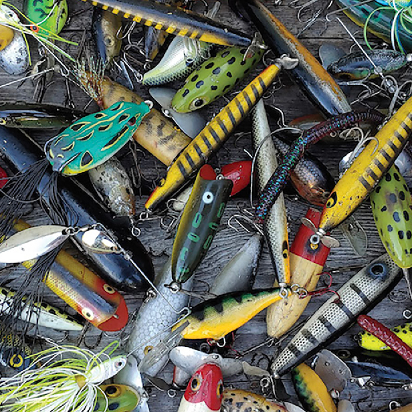 Lures, Lures, Lures by Steve Whitlock - Image 3