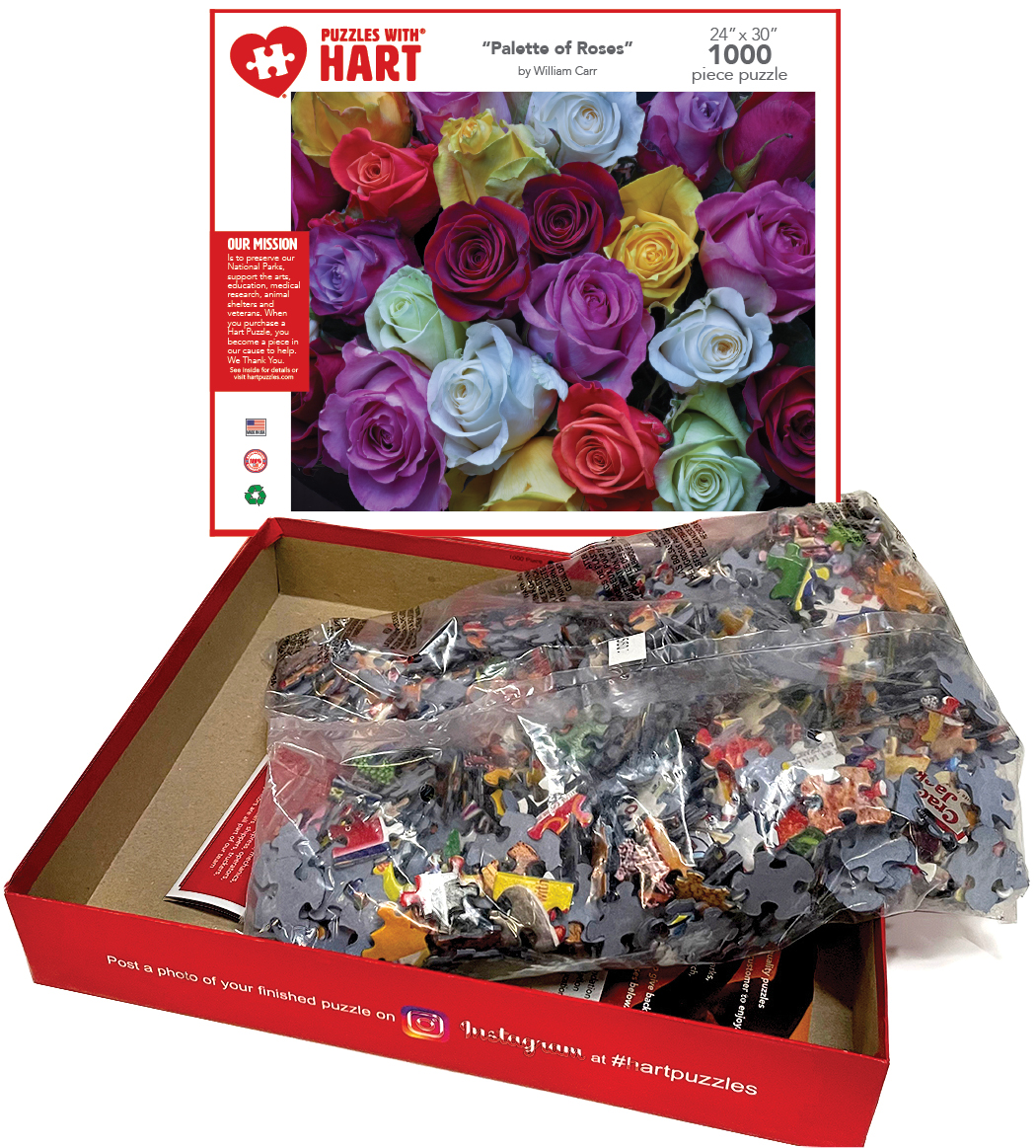 Palette of Roses by William Carr - Image 4