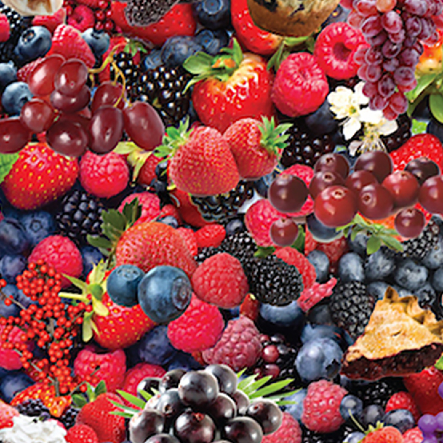Berries, Berries, Berries by Steve Smith - Image 3