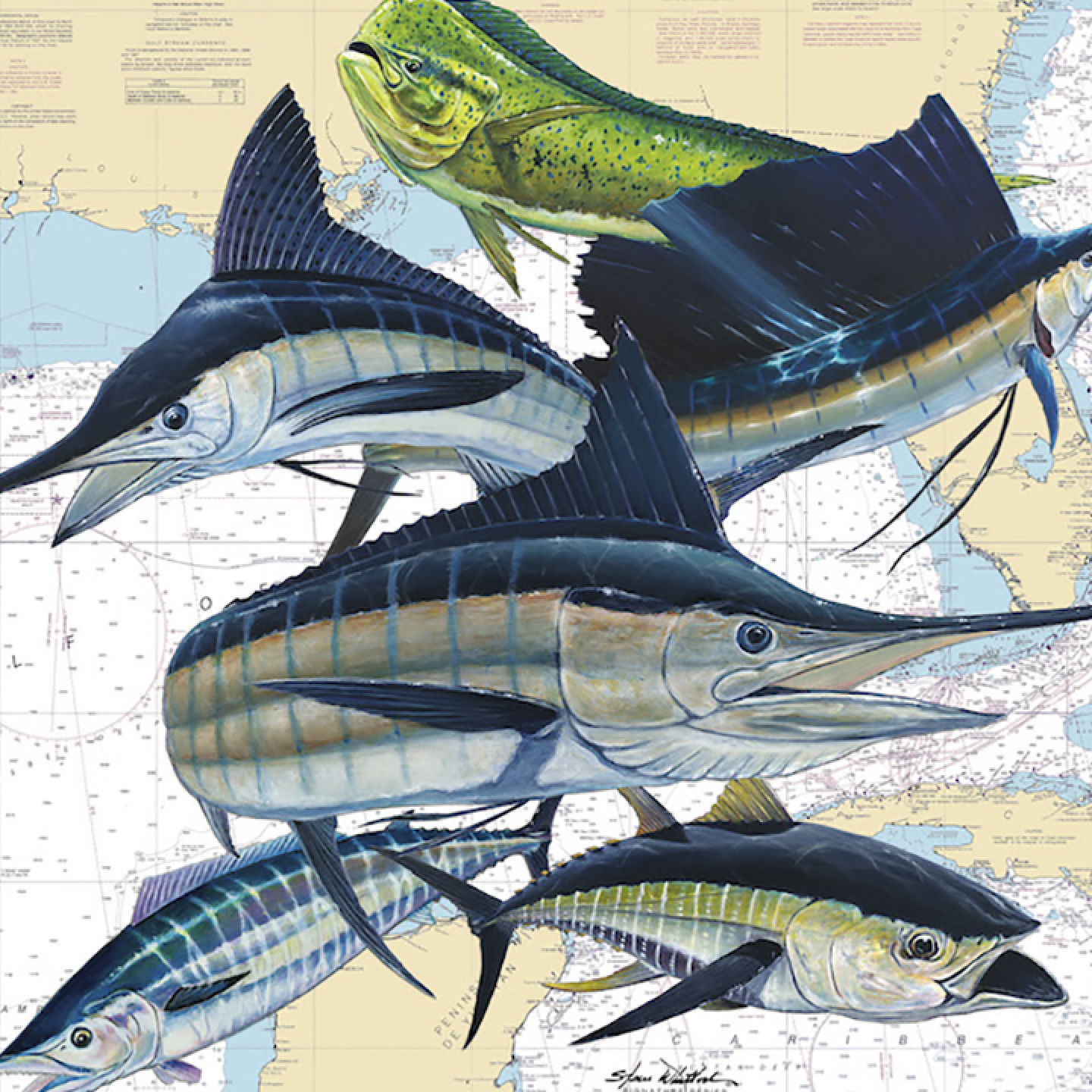 Gulf Slam Offshore by Steve Whitlock - Image 3