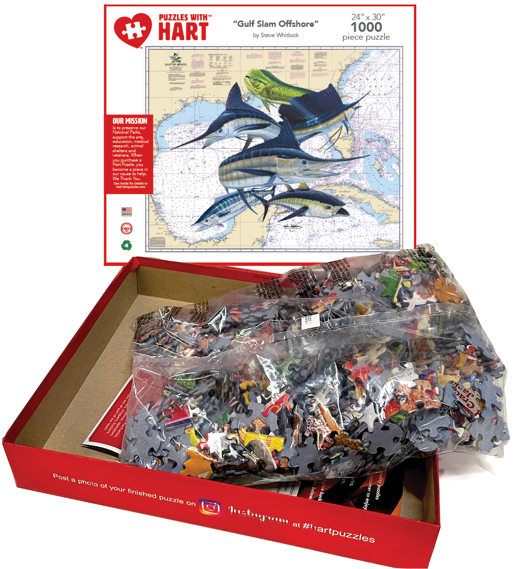 Gulf Slam Offshore by Steve Whitlock - Image 4