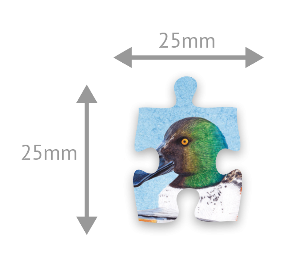 1000-Piece Wingspan Puzzle - Image 2