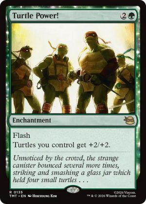 Turtle Power! [Teenage Mutant Ninja Turtles]