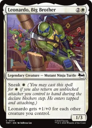 Leonardo, Big Brother [Teenage Mutant Ninja Turtles]