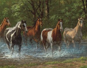 Summer Creek - 500 pc