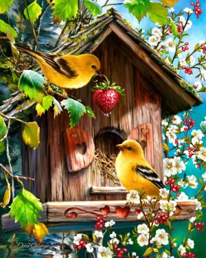 HOME TWEET HOME