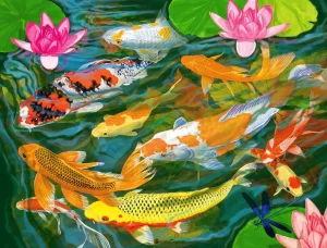 KOI POND