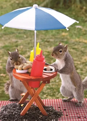 SQUIRREL FEEDER - 350 PC