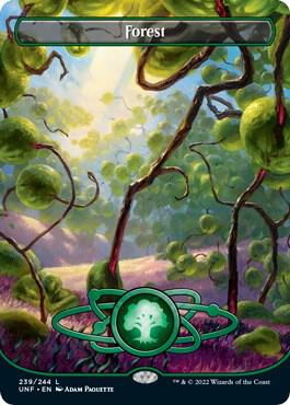Forest (239) (Borderless) [Unfinity]