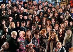Harry Potter - Challenge 1000 pc Puzzle