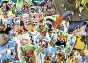 A Traveler's Animal Journey 1000 pc Puzzle