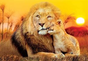 Supercolor 180 - Unexpected Hug - 180 Pc Puzzle