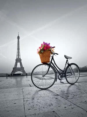 Romantic Promenade in Paris - 500 Pc Puzzle