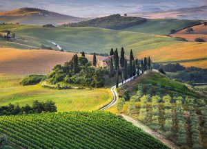Tuscany-1000 Pc Puzzle